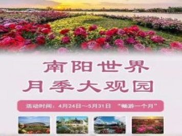 第十二届南阳月季花会4月29日开幕，活动丰富多彩
